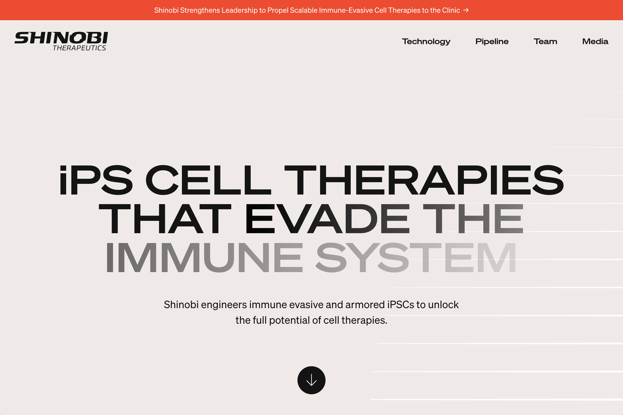 Shinobi website by Aaron Rolston